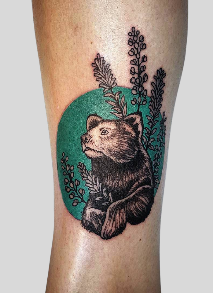 Bear Tattoo Picture