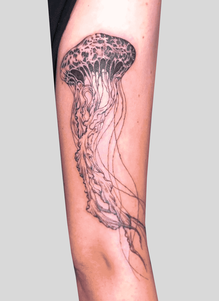Jellyfish Tattoo Photo