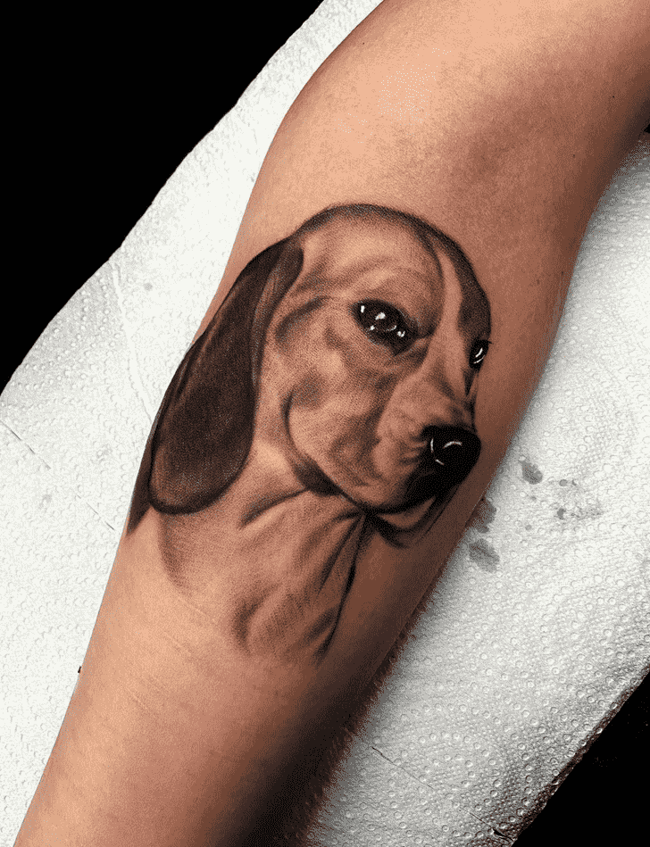 Animal Tattoo Picture