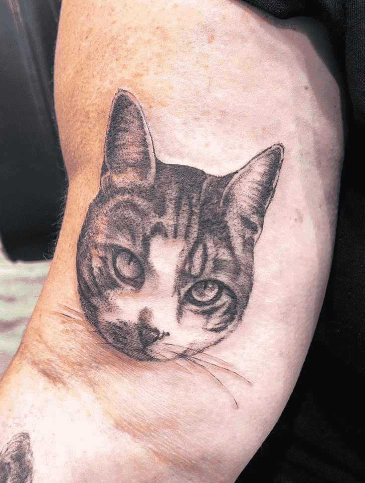 Animal Tattoo Photo