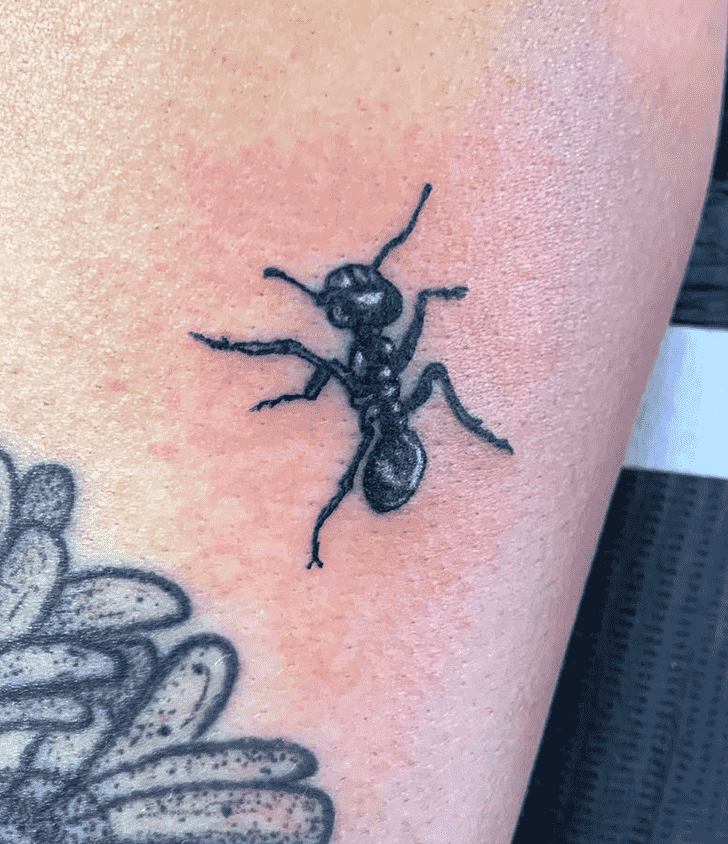 Ant Tattoo Photo