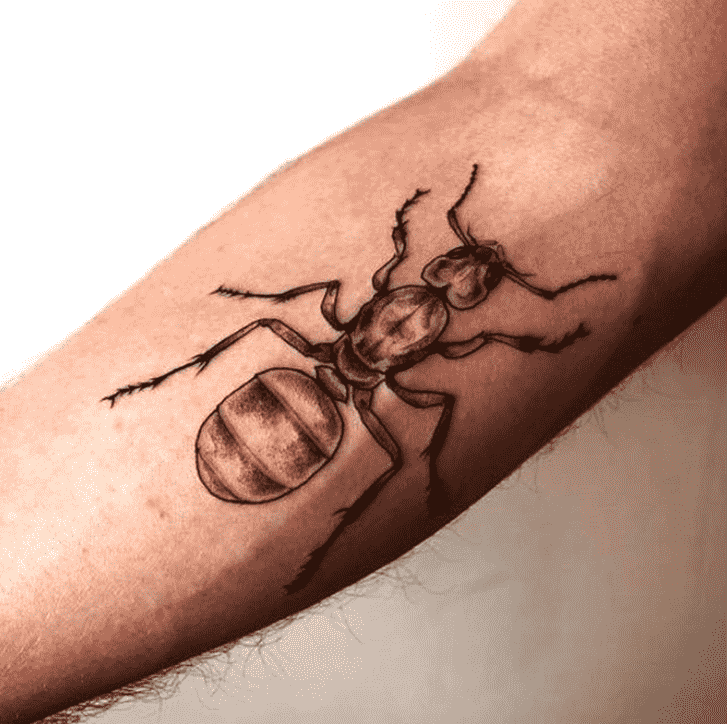 Ant Tattoo Figure