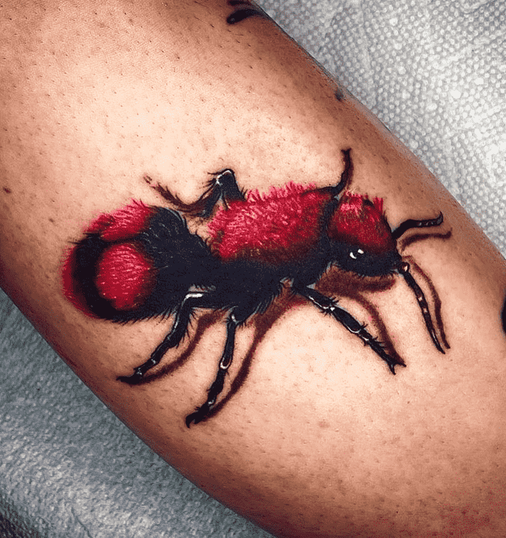 Ant Tattoo Shot