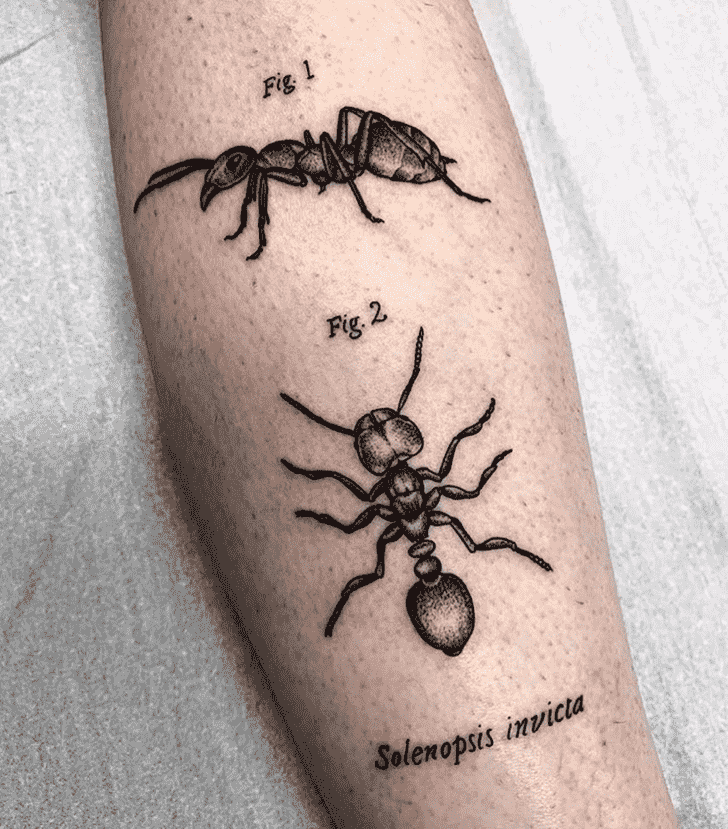 Ant Tattoo Picture