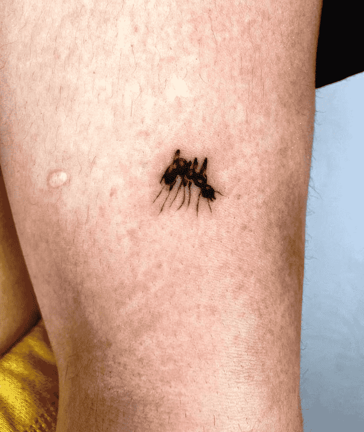 Ant Tattoo Photos