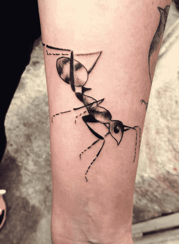 Ant Tattoo Photograph