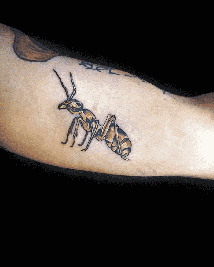 Ant Tattoo Snapshot