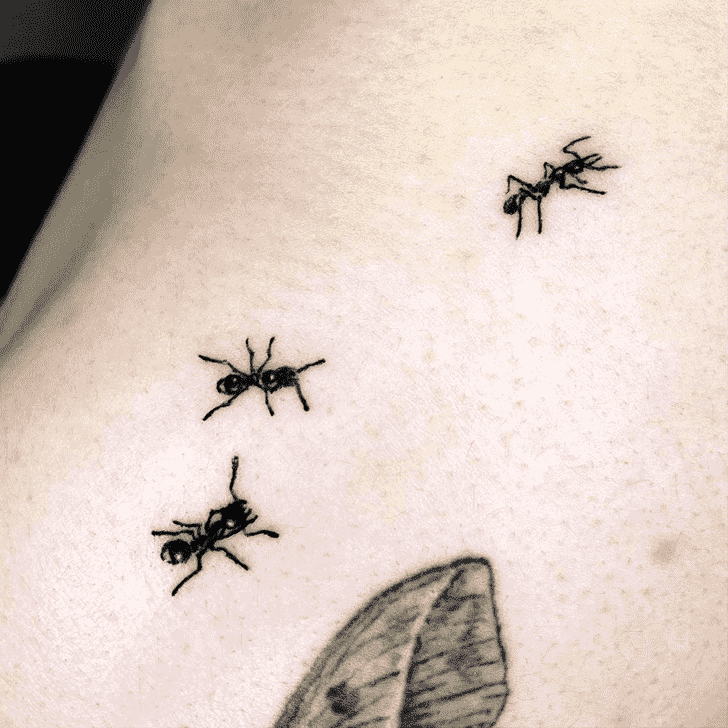 Ant Tattoo Design Image