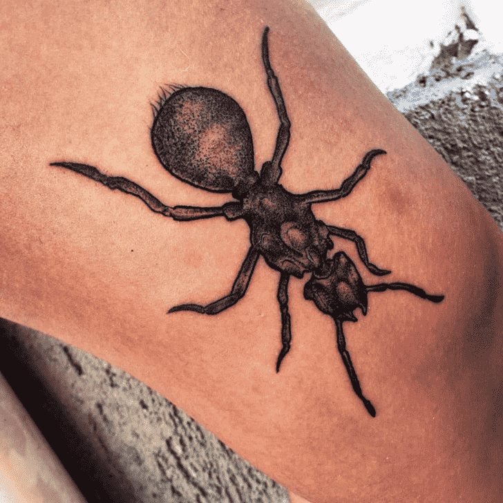 Ant Tattoo Photos