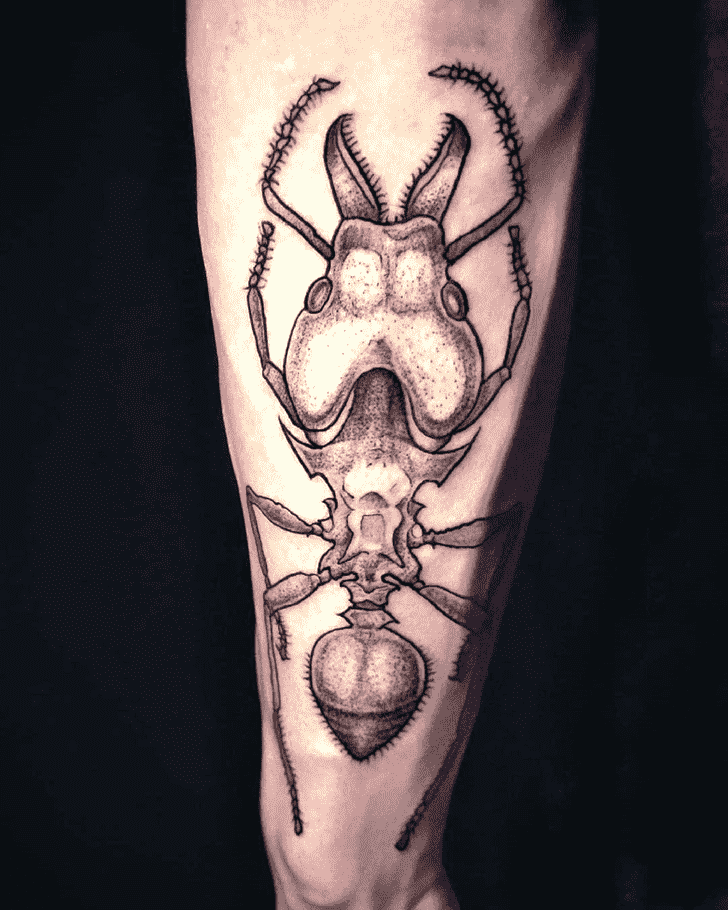 Ant Tattoo Ink