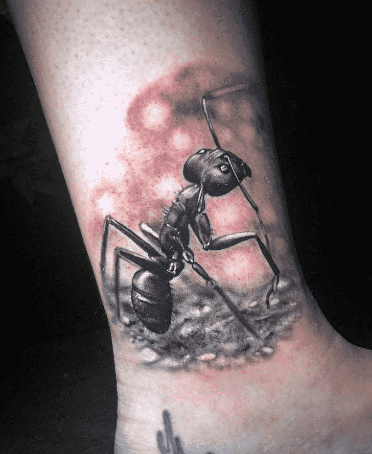 Ant Tattoo Shot