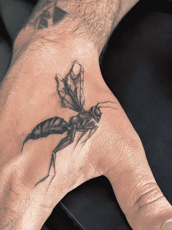 Beetle Bug Tattoo Photograph