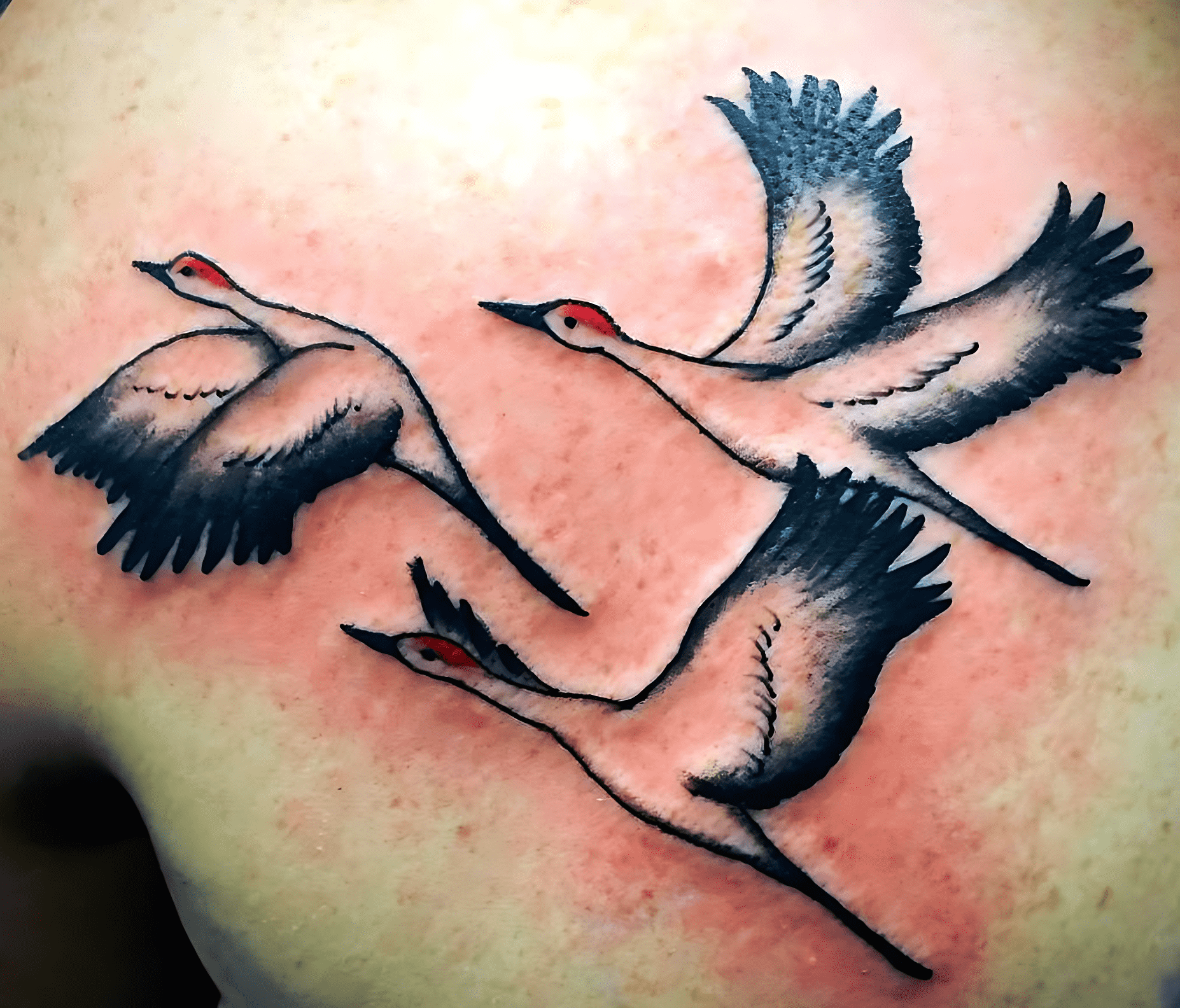 Bird Flying Tattoo Photos