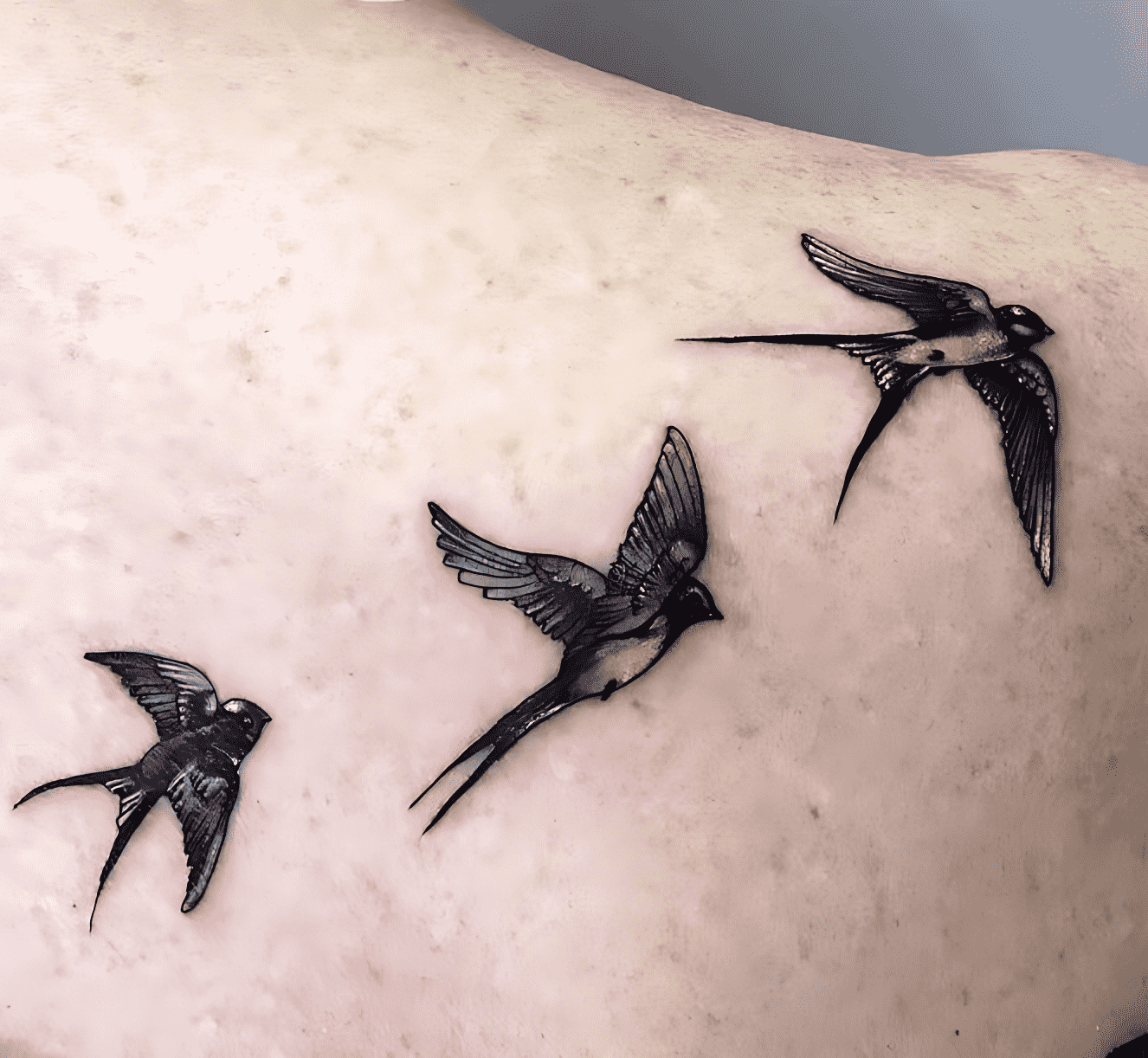 Bird Flying Tattoo Portrait