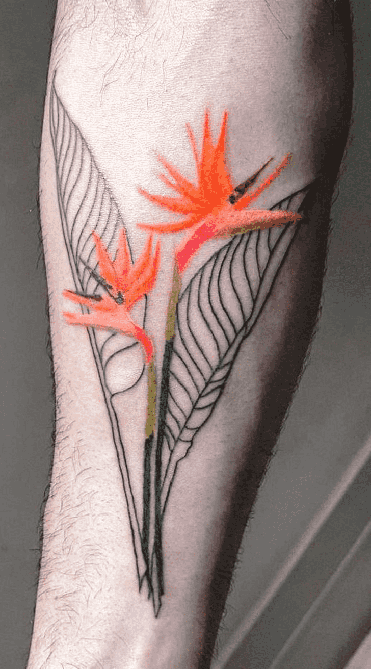 Bird of Paradise Tattoo Snapshot