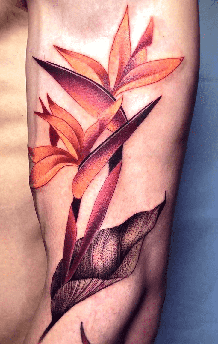 Bird of Paradise Tattoo Design Image