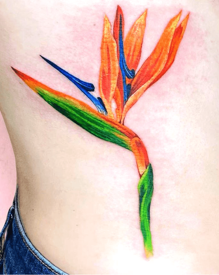 Bird of Paradise Tattoo Picture