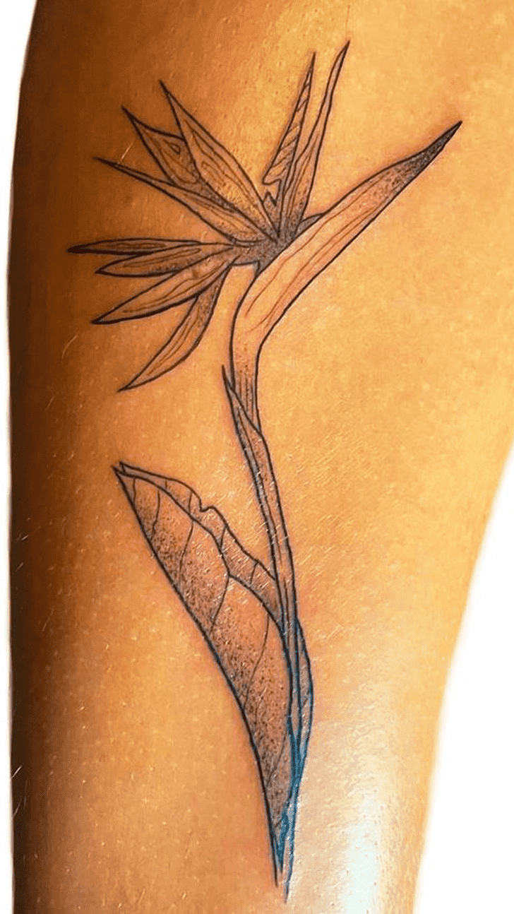 Bird of Paradise Tattoo Photos