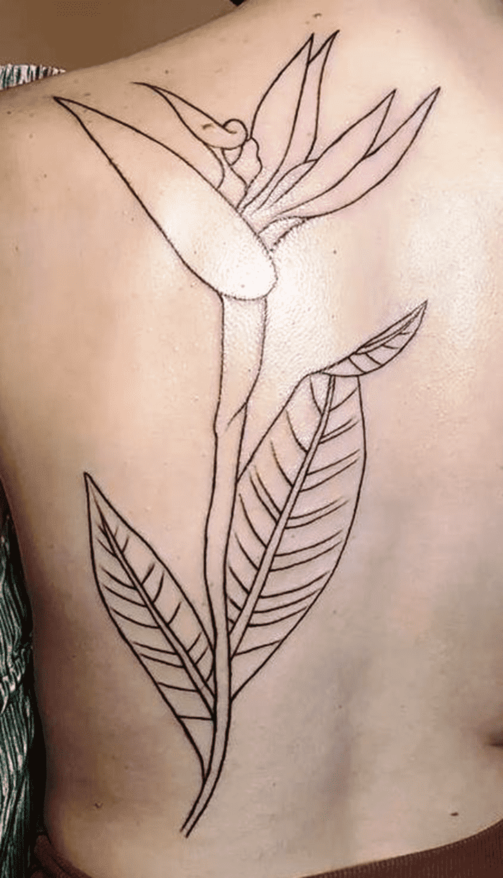 Bird of Paradise Tattoo Shot