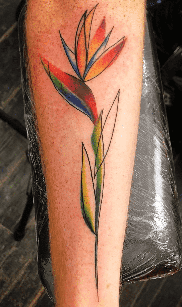 Bird of Paradise Tattoo Snapshot