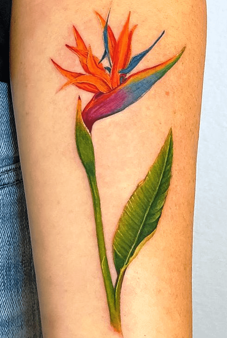 Bird of Paradise Tattoo Design Image