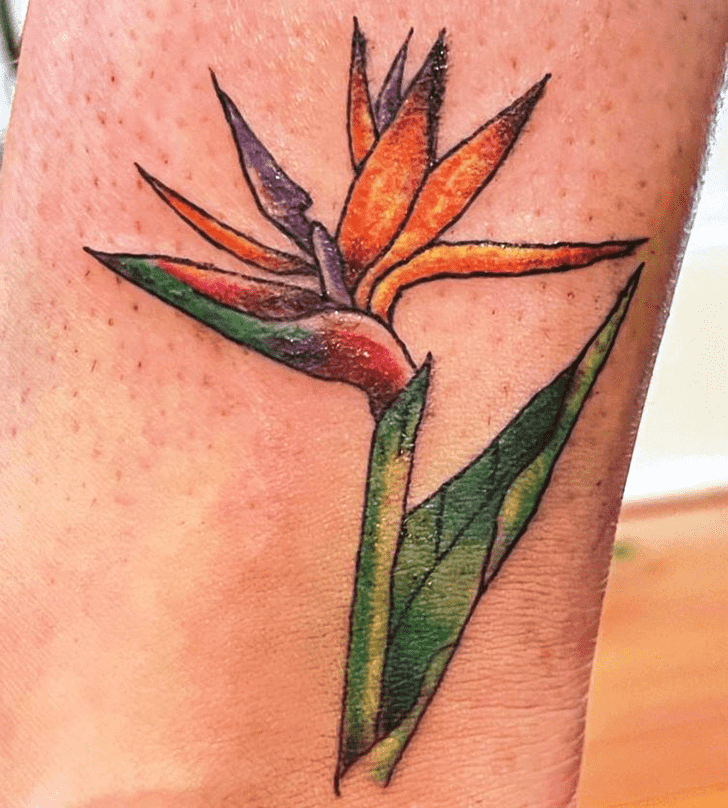 Bird of Paradise Tattoo Picture