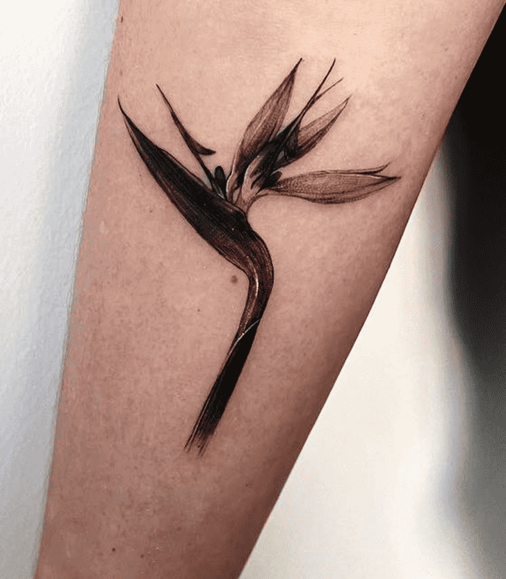 Bird of Paradise Tattoo Photograph