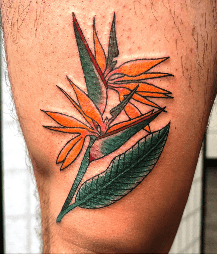 Bird of Paradise Tattoo Portrait