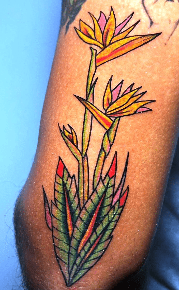 Bird of Paradise Tattoo Ink