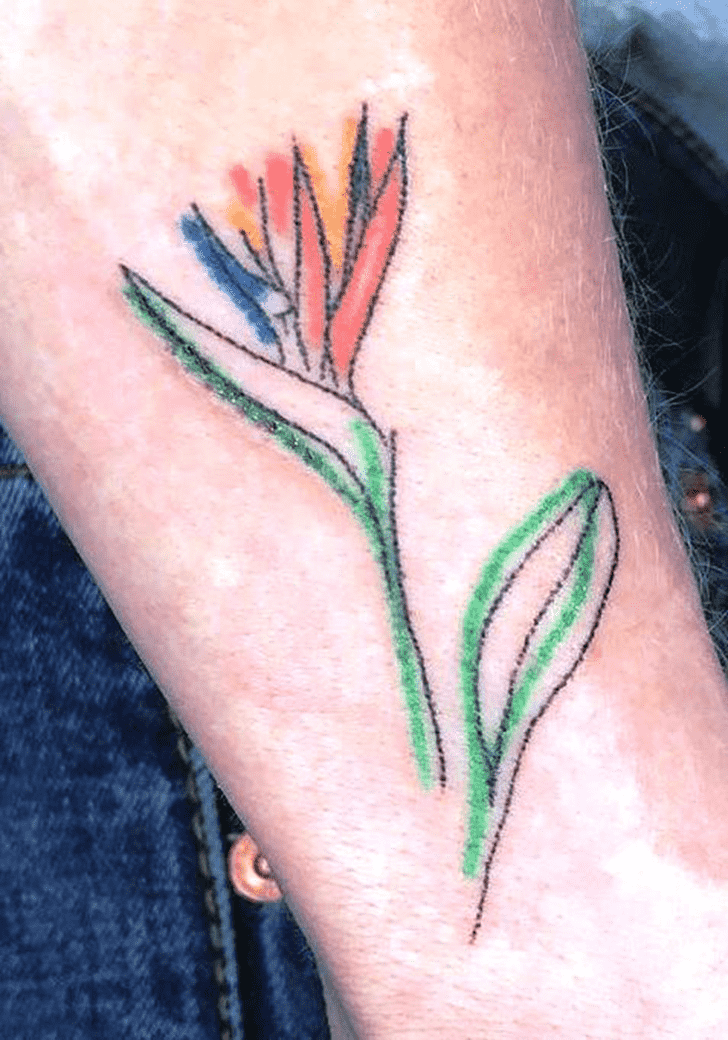 Bird of Paradise Tattoo Shot