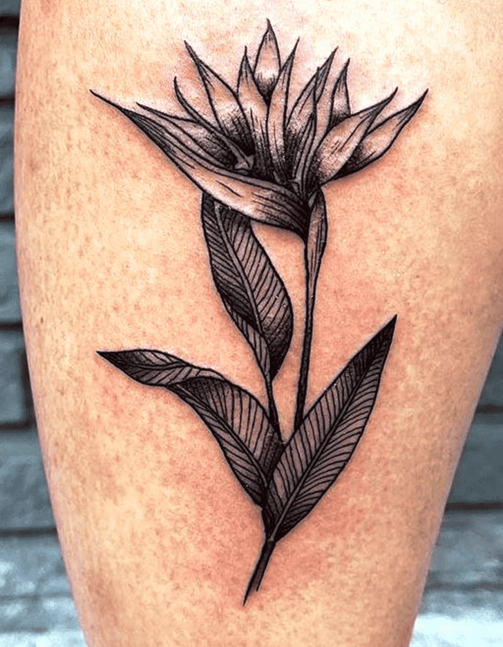 Bird of Paradise Tattoo Snapshot