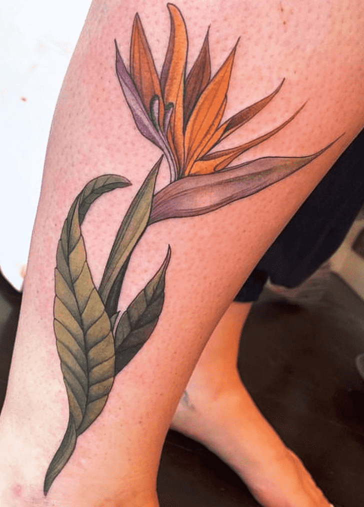 Bird of Paradise Tattoo Picture
