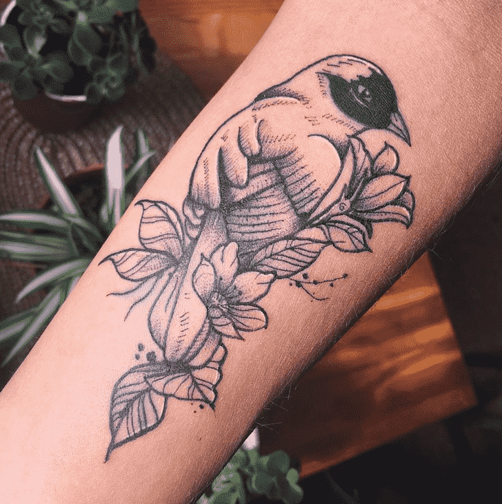 Bird Tattoo Picture