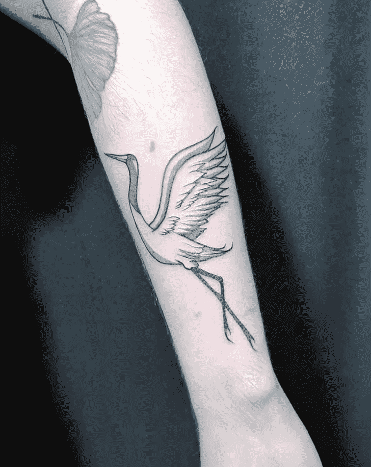 Bird Tattoo Shot