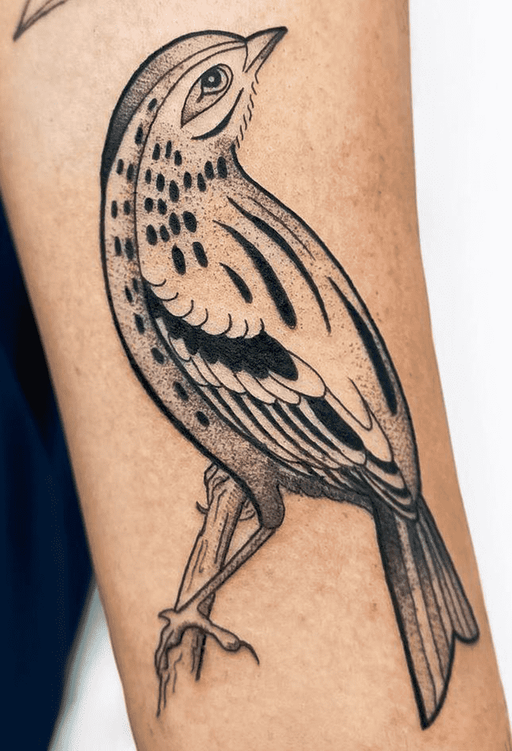 Black Bird Tattoo Snapshot