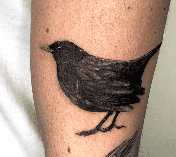 Black Bird Tattoo Picture