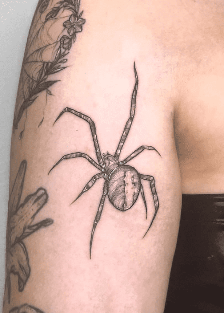 Black Widow Spider Tattoo Shot