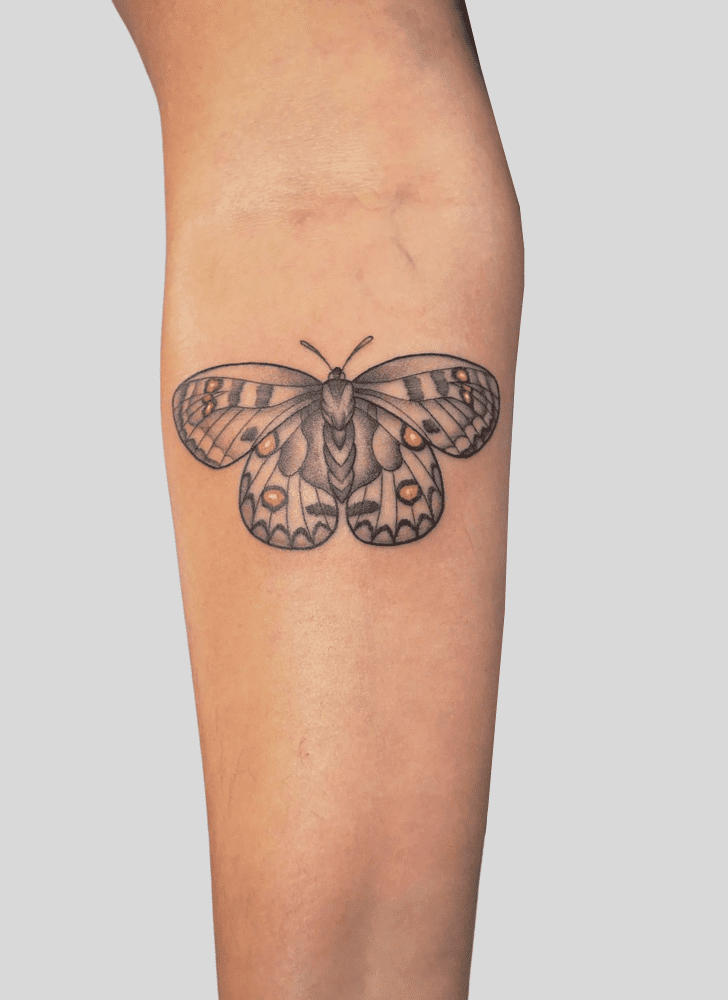 Butterfly Tattoo Picture