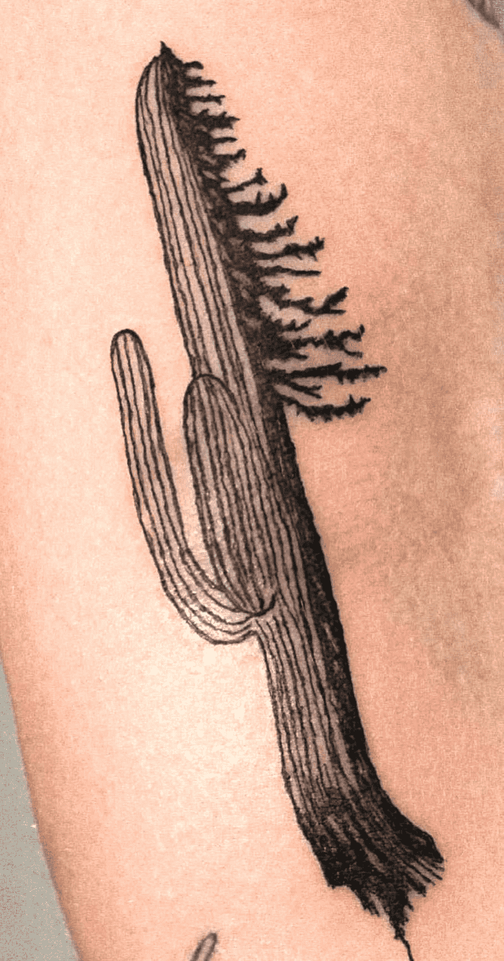 Cactus Tattoo Picture