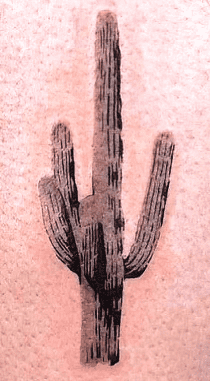 Cactus Tattoo Photos