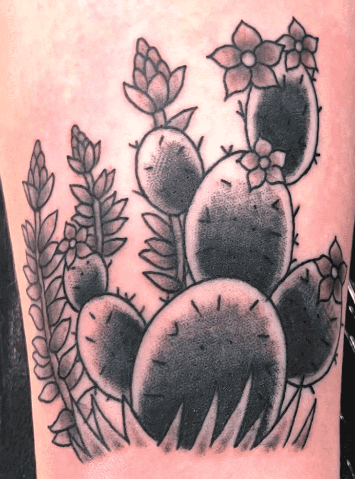 Cactus Tattoo Photos