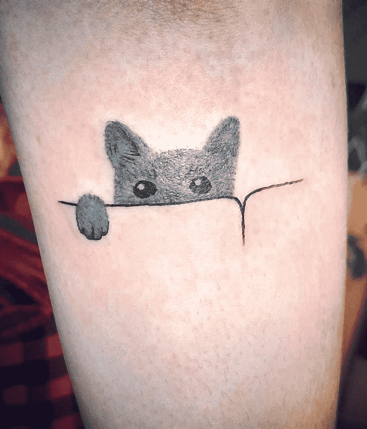 Cat Tattoo Picture