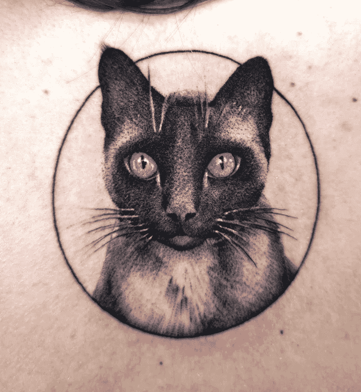 Cat Tattoo Design Image