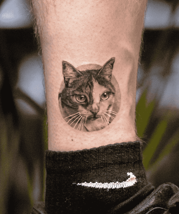 Cat Tattoo Shot