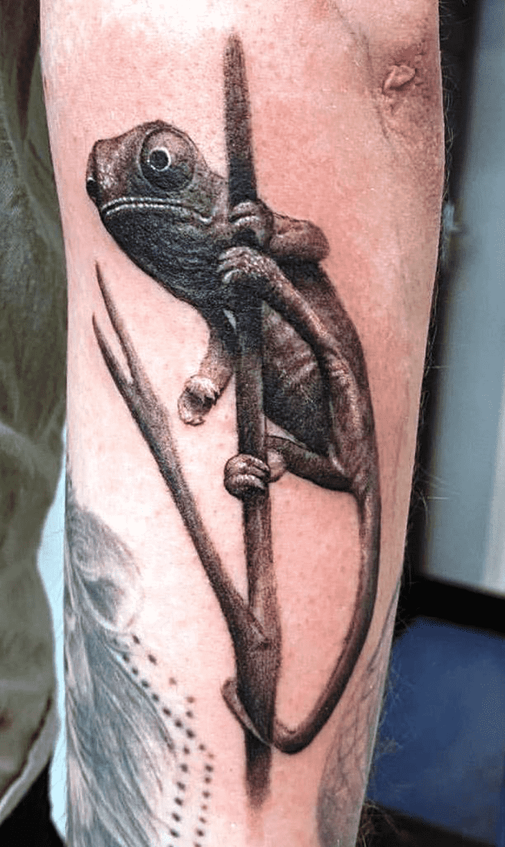 Chameleon Tattoo Photos