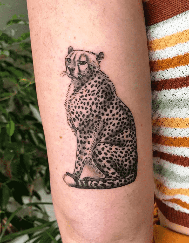 Cheetah Tattoo Photo