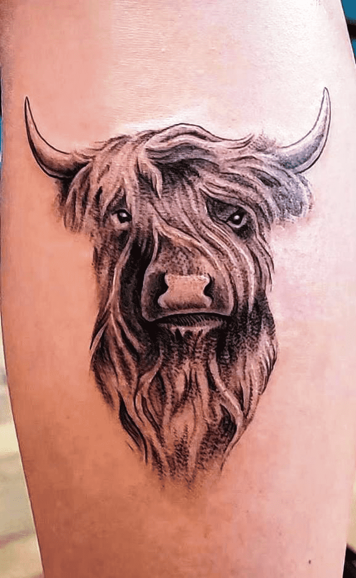 Cow Tattoo Picture