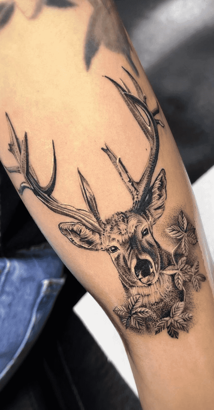 Deer Tattoo Picture