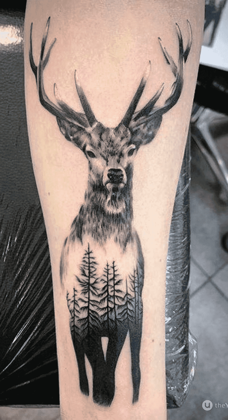 Deer Tattoo Shot