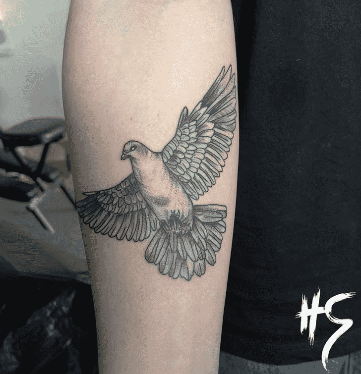 Dove Tattoo Design Image